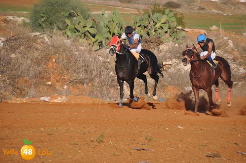 Khowoyouls ramala (58).JPG